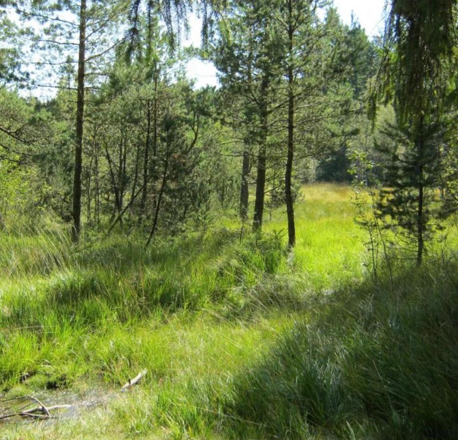 Haus Beate, Fewo Im Bienenparadies Kirchberg  Екстериор снимка
